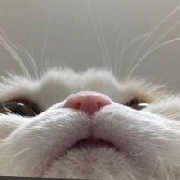 Trixter (@trixterjg) 's Twitter Profile