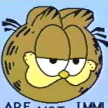 Mongoos19961883's profile picture. I'm a very curious person :P