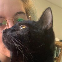 narcolepsy queen (@wifi_wanderer) 's Twitter Profile