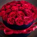 🌹جنّة الورد🌹 (@authenticomania) Twitter profile photo 🌹جنّة الورد🌹 (@authenticomania) Twitter profile photo