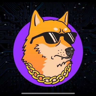 Dilancoinchaser Profile Picture