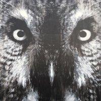 Patrick Boitet (@patrickboitet) 's Twitter Profile