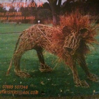 willow sculptor & mixed media artist. Private commissions, workshops, community projects and parties available. fighting hard to defeat Ankylosing spondylitis,