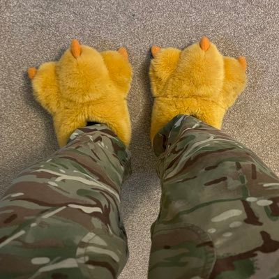 The #slippers are deploying in Jan and would like to use this opportunity to raise money and awareness for https://t.co/dqqvJA0PrO https://t.co/9L0MDjPIwv