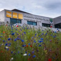 Meath County Council (@meathcoco) 's Twitter Profile Photo Meath County Council (@meathcoco) 's Twitter Profile Photo