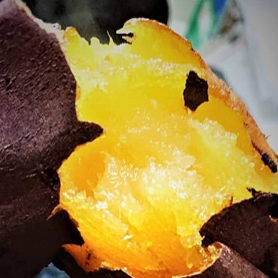 step6021's profile picture. 