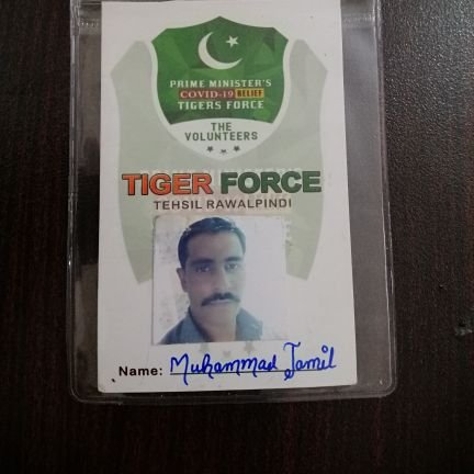 Tiger force as a volunteer