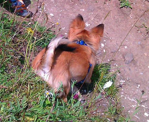 The_Squiff's profile picture. Public servant, mother, runner and tai chi enthusiast.