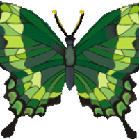 papillon vert (@hibou03) 's Twitter Profile