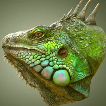 Miguel A. Román 🐟 Profile