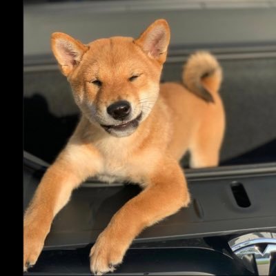 paulwhemann's profile picture. 