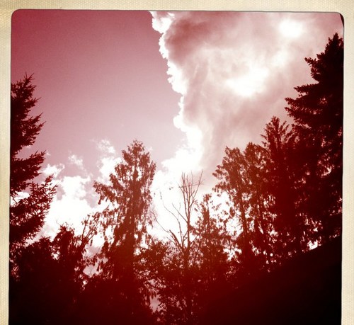 tristablair21's profile picture. 