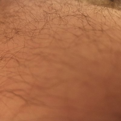 guarromadrid90's profile picture. 🐷💩💦🔞🏳️‍🌈
Cerdo. 1990.