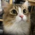 BaiZe (@marshal_eric) Twitter profile photo BaiZe (@marshal_eric) Twitter profile photo