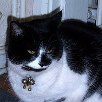 jxhnnys.revenge (@dropdead_emma) 's Twitter Profile