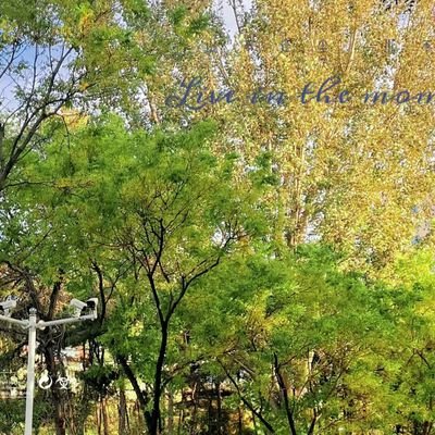 aaaarmy33562526's profile picture. 