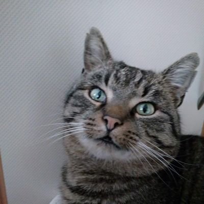 otravna_zenska's profile picture. 