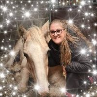 Rosie Powell - @RosiePo56718528 Twitter Profile Photo