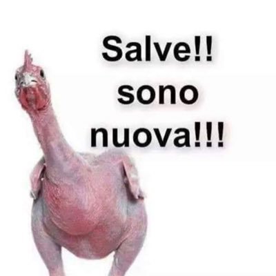 zia_cleo's profile picture. 