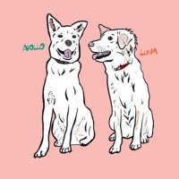 アポロ ジュピター ジュノ ルナ (@apollowanko) 's Twitter Profile