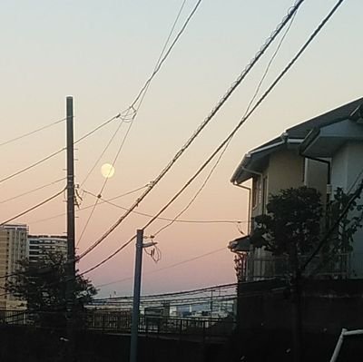 asaio_'s profile picture. 名前の読みは「さぎはた あさいお」です。