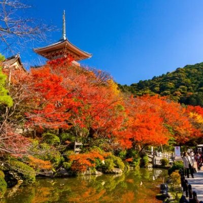 oniisan_botter's profile picture. bot開発(2020/12~)