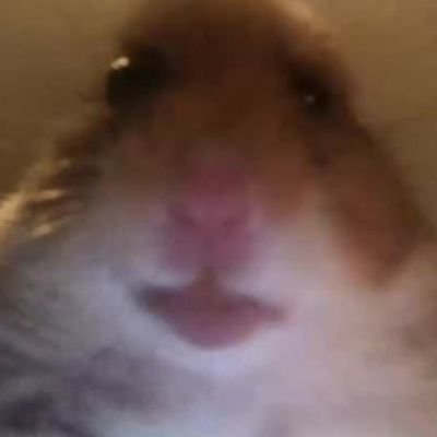 bruhさんのプロフィール画像