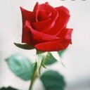 mansi sahu - @mansisa93524385 - Twitter