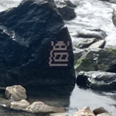 BibianaRuggiero's profile picture. 