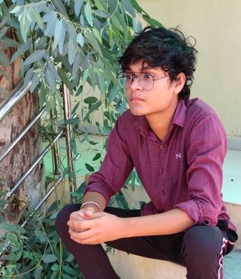 AnkitDamer's profile picture. coming soon...