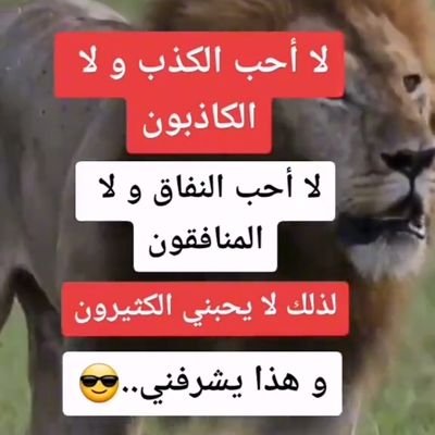 { لعل الأماني اليائسة تُزهرُ من جديد، وتُشرقُ شمسًا من طُموحٍ لا يغيب..
لعل تأخيرها خيرة }