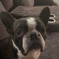 mbelow (@mbison82) 's Twitter Profile