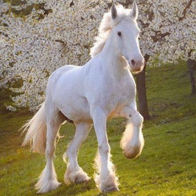 BrookeA69310575's profile picture. 