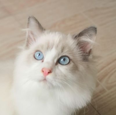 OtisLXW0616's profile picture. 年三十，育兩子。