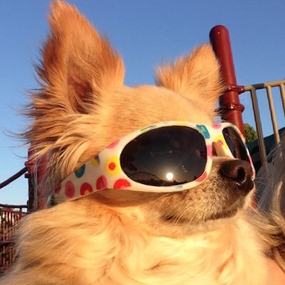 doinghomework99's profile picture. รับทำการบ้านงับ