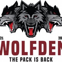 WOLFDEN (@dm_wolfden) 's Twitter Profile