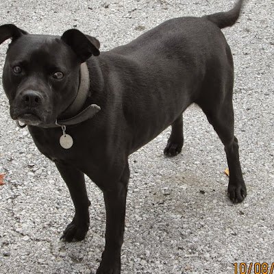 10longone's profile picture. Army Veteran 3 years 60 years home construction and remodel basement finish Retired due to a fall from a machine shop roof onto concrete .