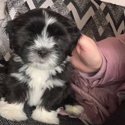 Claire71158361's profile picture. Hello