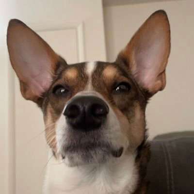 Just starting out streaming.  Hoping to learn and have fun.