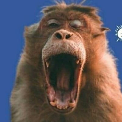 V3g3t42020's profile picture. 