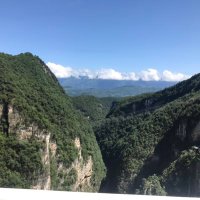 会飞的猪 (@khw2ibfmvnqsqlh) 's Twitter Profile