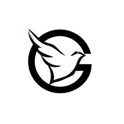 GodGotUs_'s profile picture. A spiritually based company that specializes in streetwear, events + collaborative projects. #GodGotUs