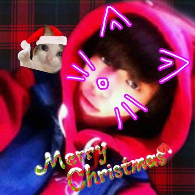 ♡ ✧。°₊·ˈ∗ ♡ Ⓐⓝⓓⓐⓝⓘⓔⓛ ♡ ∗ˈ‧₊°。✧ ♡