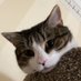 Alex (@a484t) Twitter profile photo Alex (@a484t) Twitter profile photo