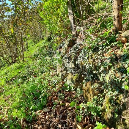 nikafrzty's profile picture. 