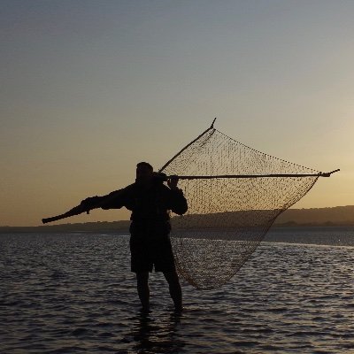 Celebrating the heritage fisheries of the Severn Estuary. Pretty much obsessed with the wildlife, history and cultural heritage of the estuary.