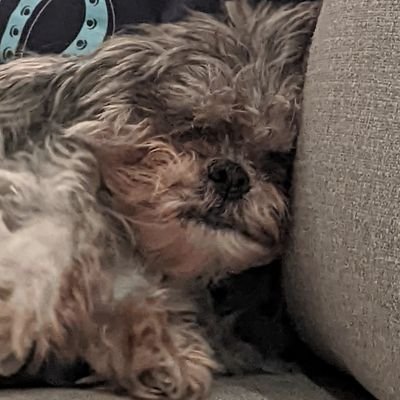 coryebailey's profile picture. College student in Bellingham, WA