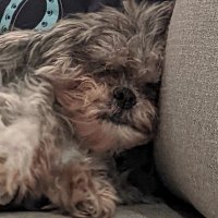 Cory Bailey (@coryebailey) 's Twitter Profile