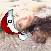 Mai 🐶🚀🌙 Ðogecoin 🇦🇷🇧🇪 (@maicus81) 's Twitter Profile