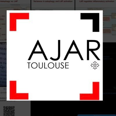AJAR Toulouse 🏉 Profile